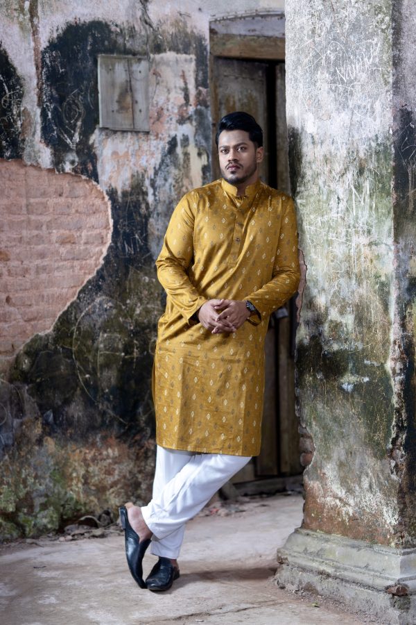 Premium Panjabi